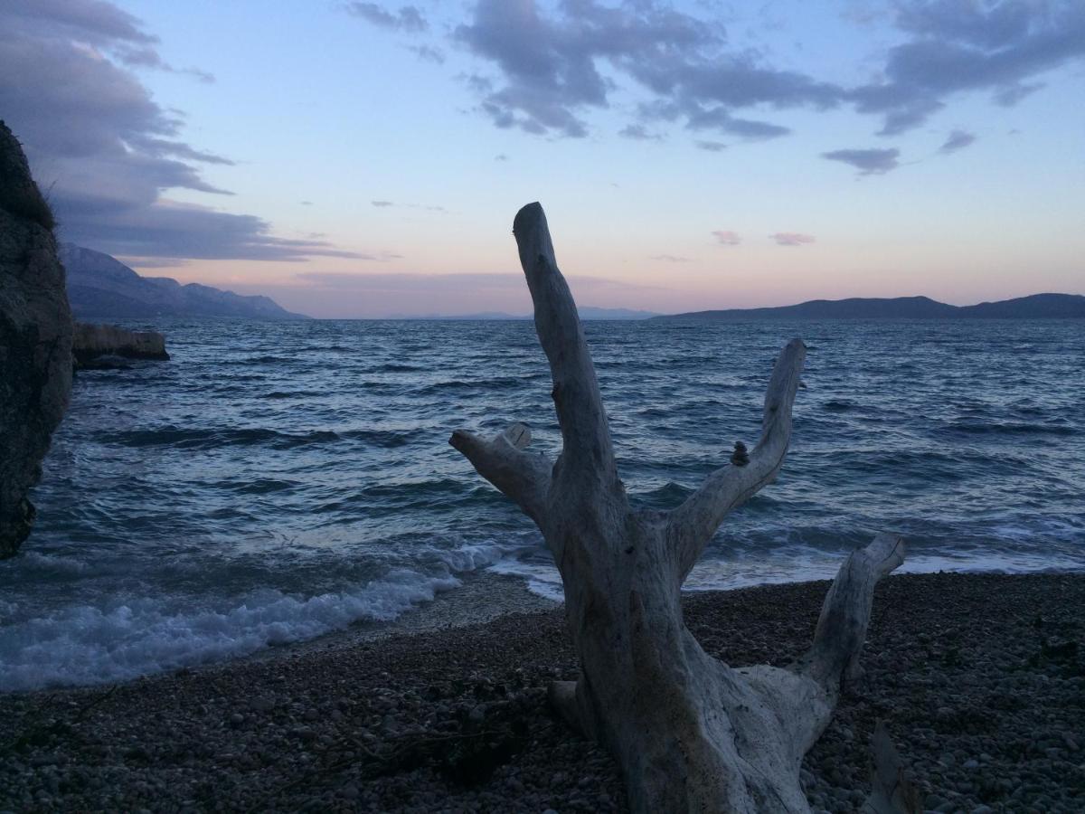 Hostel Dalmatia Marusici  Экстерьер фото